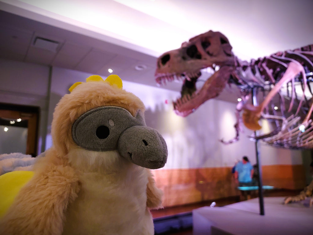 Plush toy of Chai Latte the utahraptor in front of a T-Rex skeleton