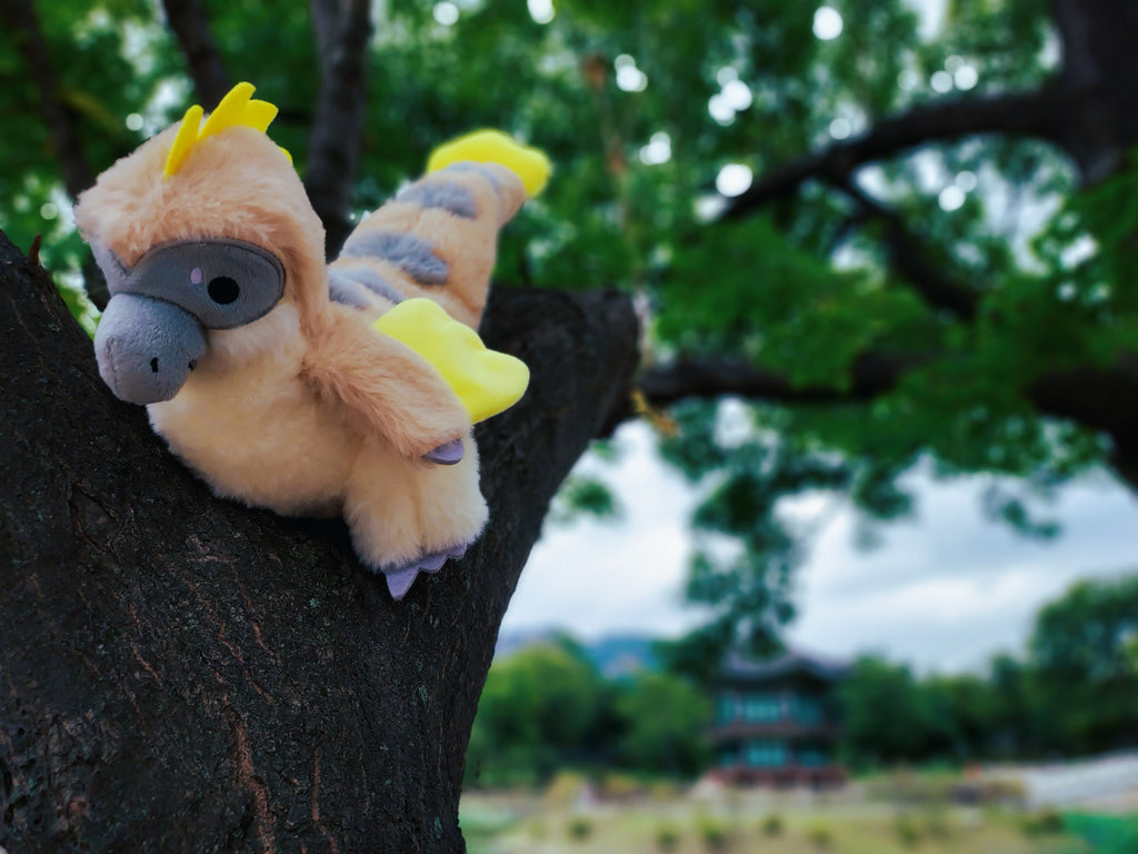 Plush toy of Chai Latte the Utahraptor in a tree