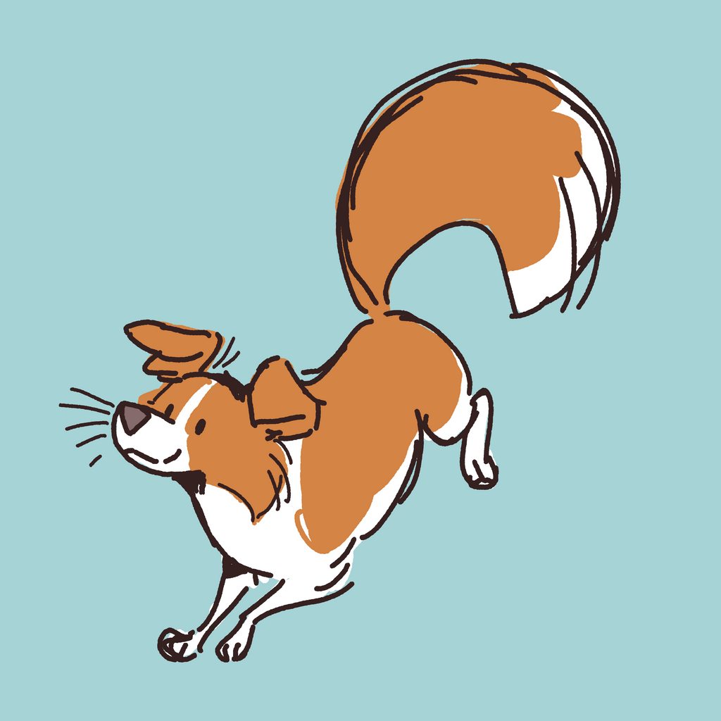 Art of a red border collie on a blue background