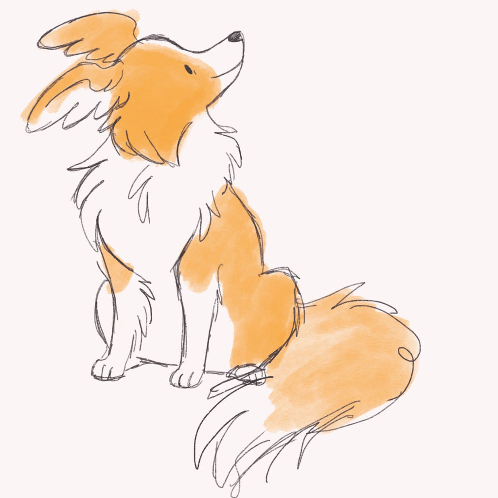 Fanart of Sunny Pup the red border collie