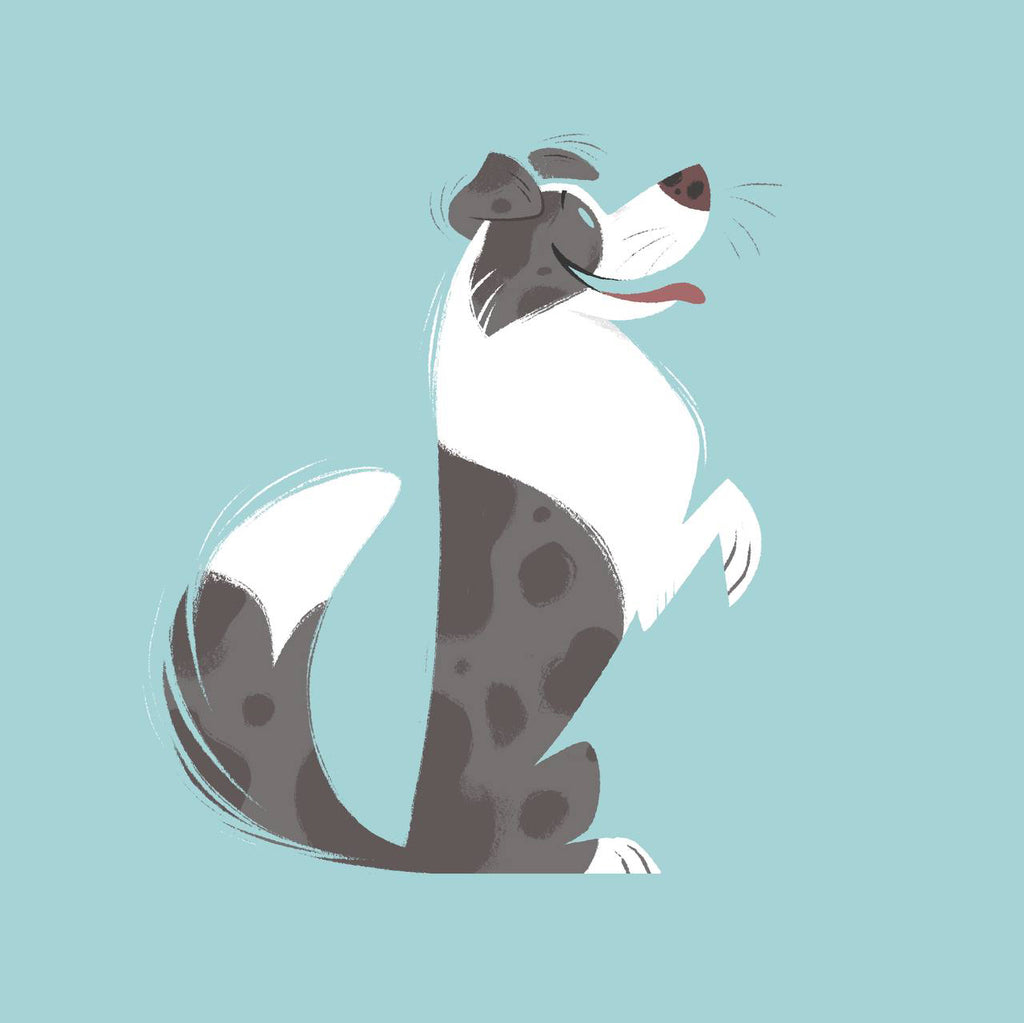 Fanart of Stormy the blue merle border collie