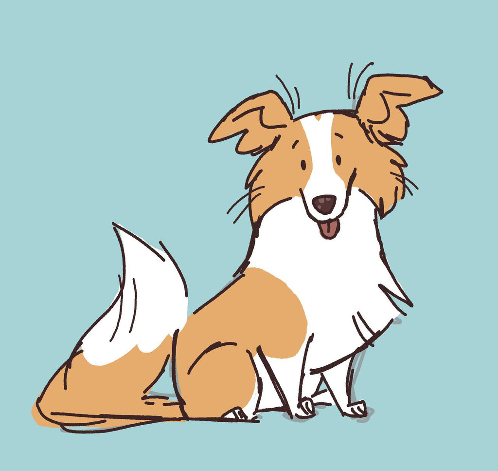 Fanart of Sunny Pup the red border collie