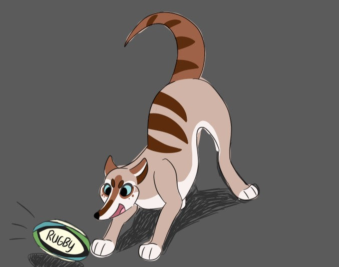 Art of Hobart the thylacine with a rugby ball