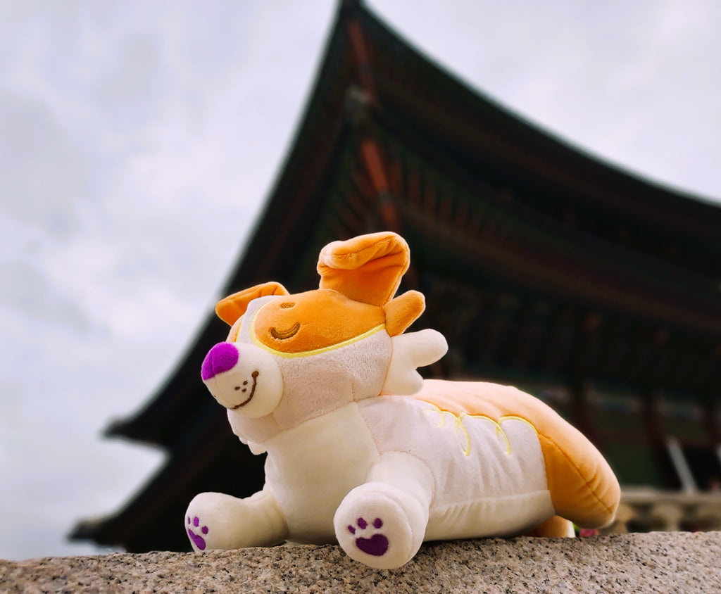 Plush toy of an orange border collie laying outside an asian-style building 