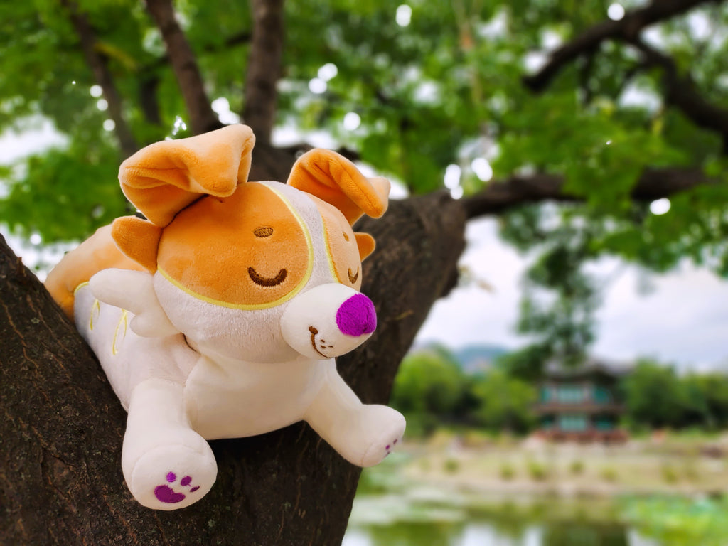 Plush toy of an orange border collie laying in a tree