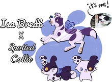 Load image into Gallery viewer, Fairy Collie &amp; Weaselbug Kickstarter Pins★Isa Bredt&#39;s Spotted Collie
