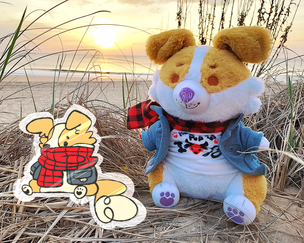 Sunny Pup the red border collie, wearing a jean jacket, red scarf,  and Heckfire Pup shirt sitting on the beach with matching art 